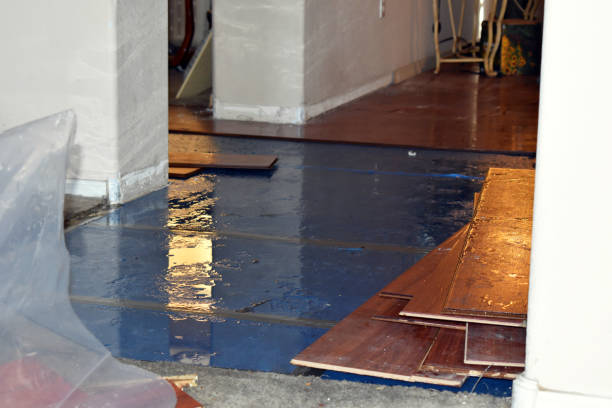 Professional Sewage Cleanup technician working in Omro, WI